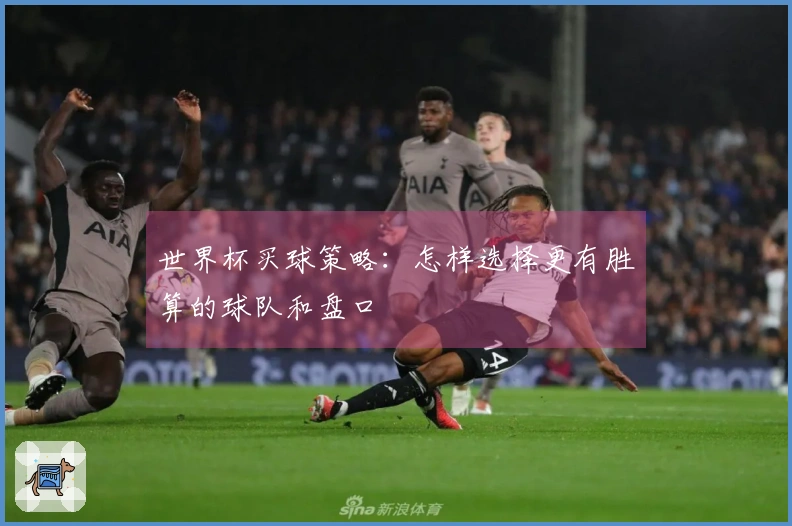 世界杯买球策略：怎样选择更有胜算的球队和盘口