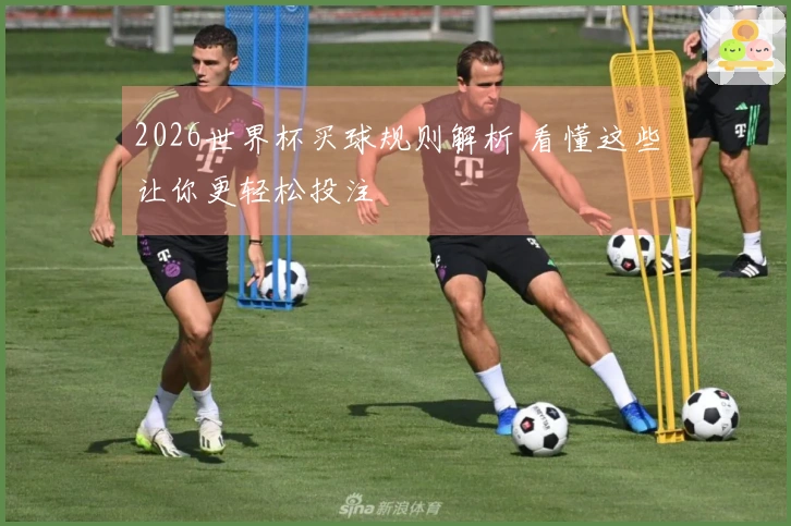 2026世界杯买球规则解析 看懂这些让你更轻松投注