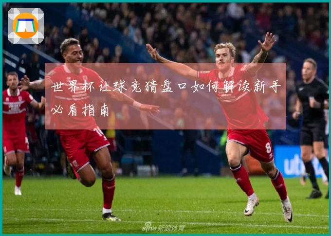世界杯让球竞猜盘口如何解读新手必看指南