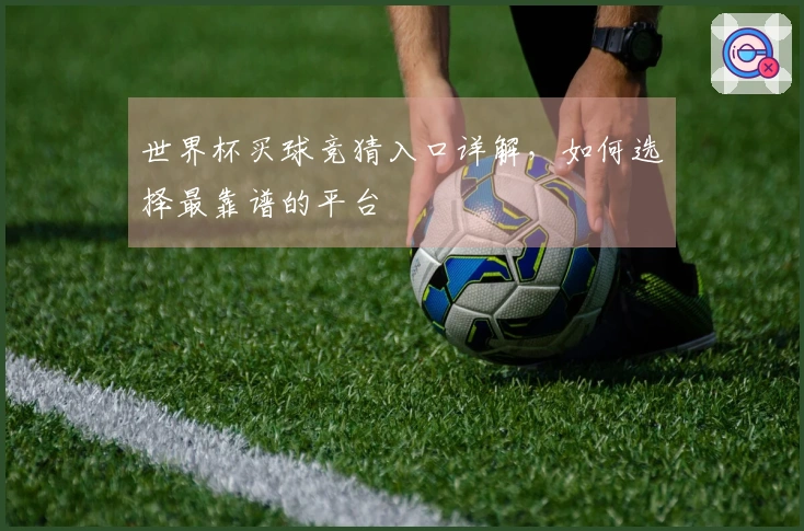世界杯买球竞猜入口详解，如何选择最靠谱的平台