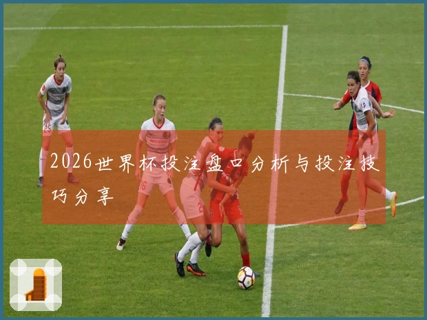 2026世界杯投注盘口分析与投注技巧分享