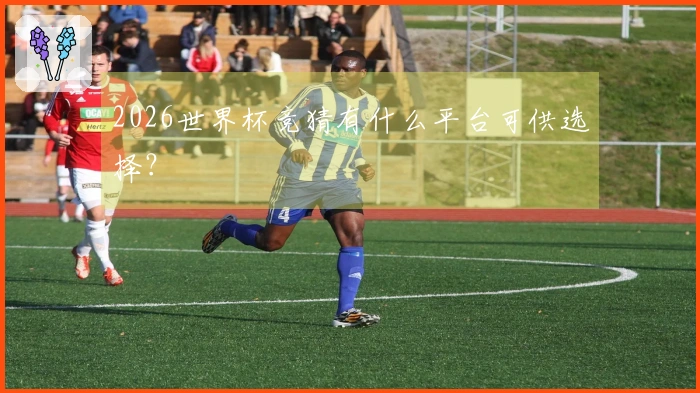 2026世界杯竞猜有什么平台可供选择？