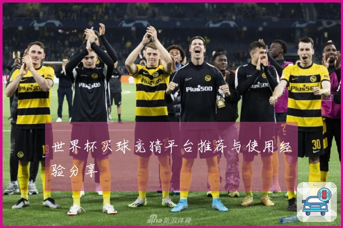 世界杯买球竞猜平台推荐与使用经验分享