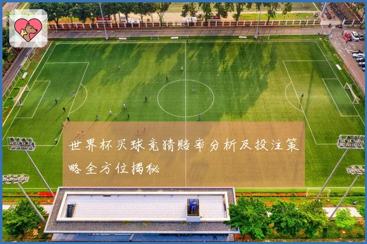 世界杯买球竞猜赔率分析及投注策略全方位揭秘