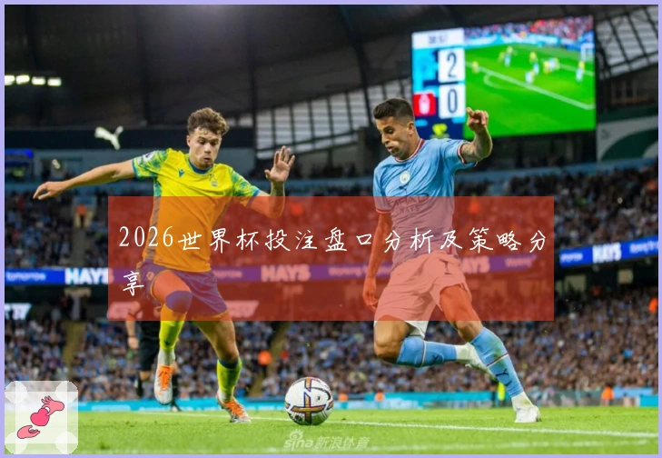 2026世界杯投注盘口分析及策略分享