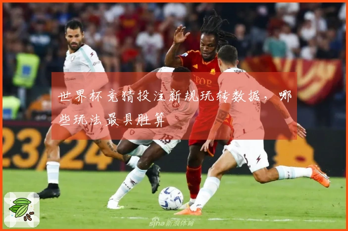 世界杯竞猜投注新规玩转数据，哪些玩法最具胜算