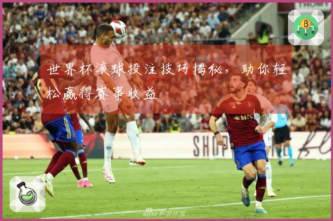 世界杯滚球投注技巧揭秘，助你轻松赢得赛事收益