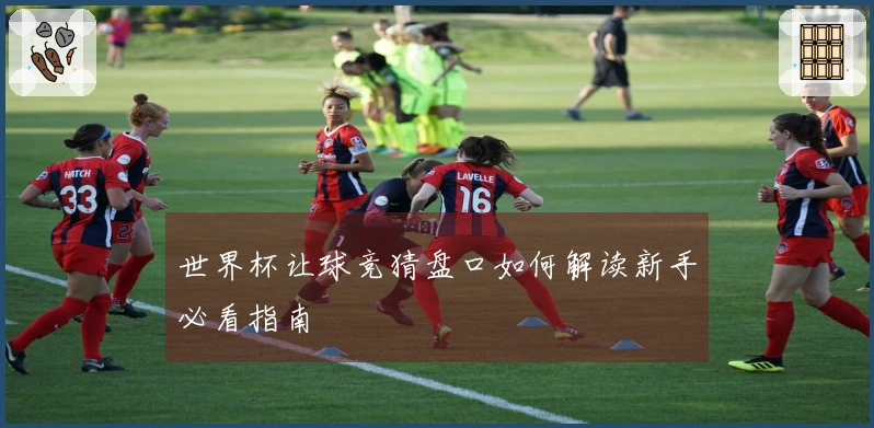 世界杯让球竞猜盘口如何解读新手必看指南