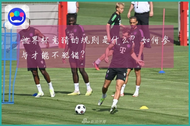 世界杯竞猜的规则是什么？如何参与才能不犯错？