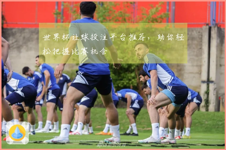 世界杯让球投注平台推荐，助你轻松把握比赛机会