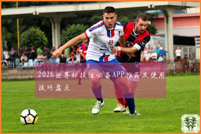 2026世界杯投注必备APP推荐及使用技巧盘点