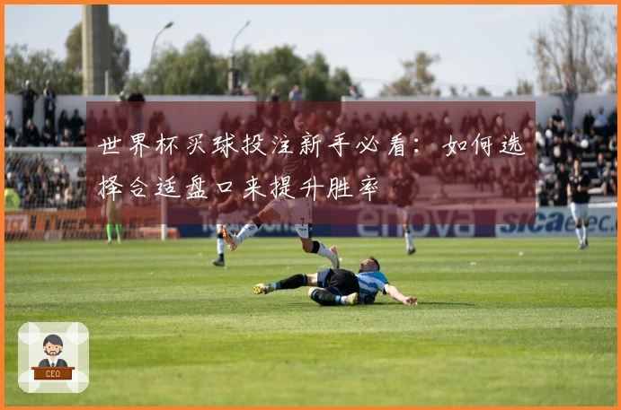 世界杯买球投注新手必看：如何选择合适盘口来提升胜率