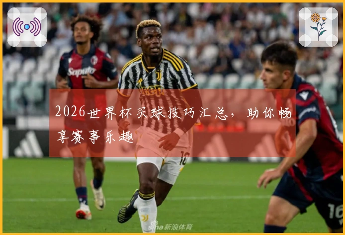 2026世界杯买球技巧汇总，助你畅享赛事乐趣