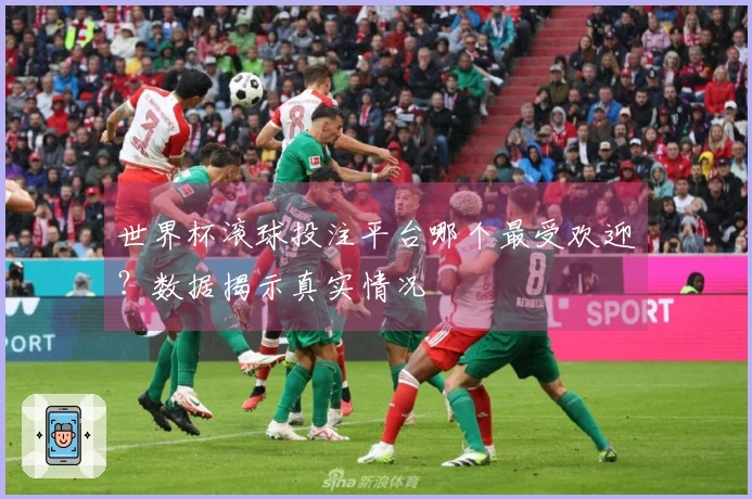 世界杯滚球投注平台哪个最受欢迎？数据揭示真实情况