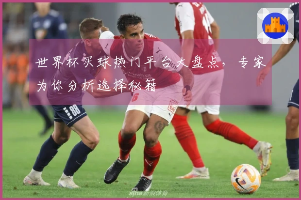 世界杯买球热门平台大盘点，专家为你分析选择秘籍