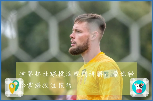 世界杯让球投注规则详解，带你轻松掌握投注技巧